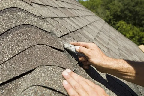 Rubber Roofing services